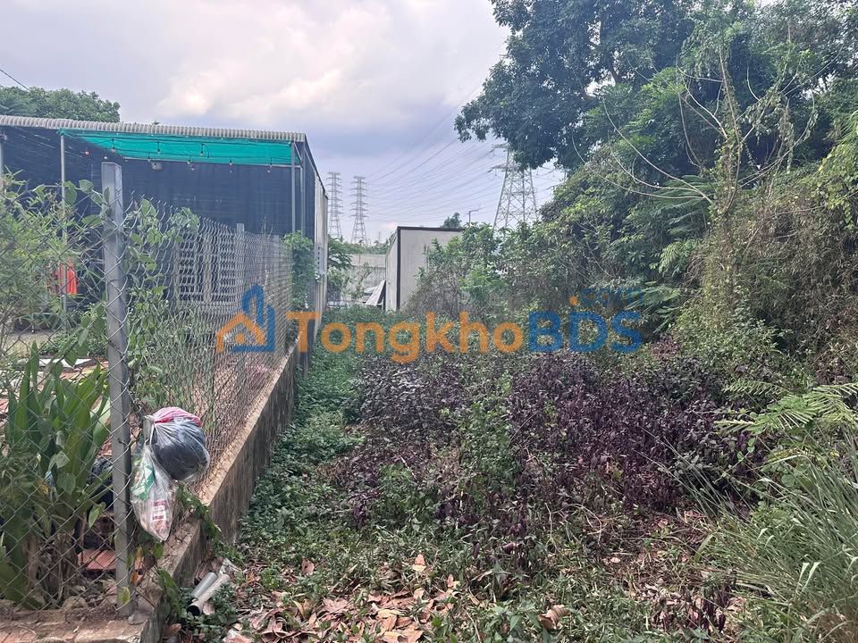 Đất Nền 150m² Sổ Hồng ONT, Mặt Tiền Đường Nhựa An Phước, Long Thành - Giá 620 Triệu