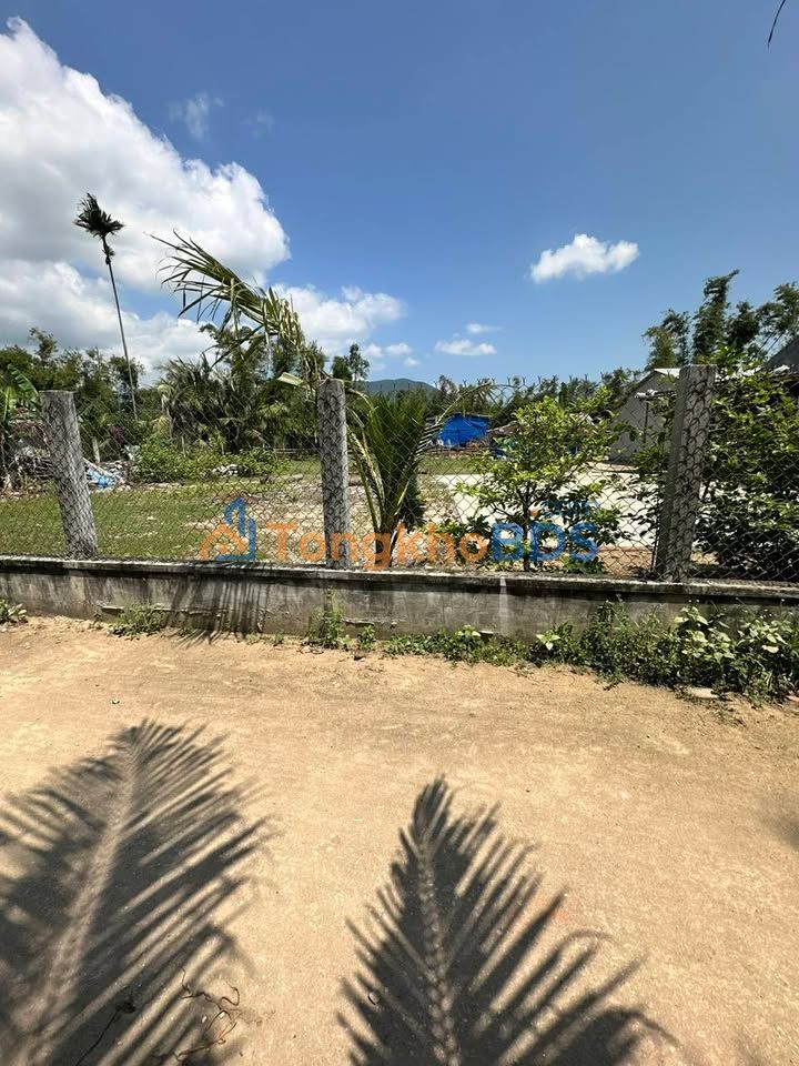 Bán Đất An Đức, Phù Cát 100m² - Sổ Đỏ Sẵn Sàng