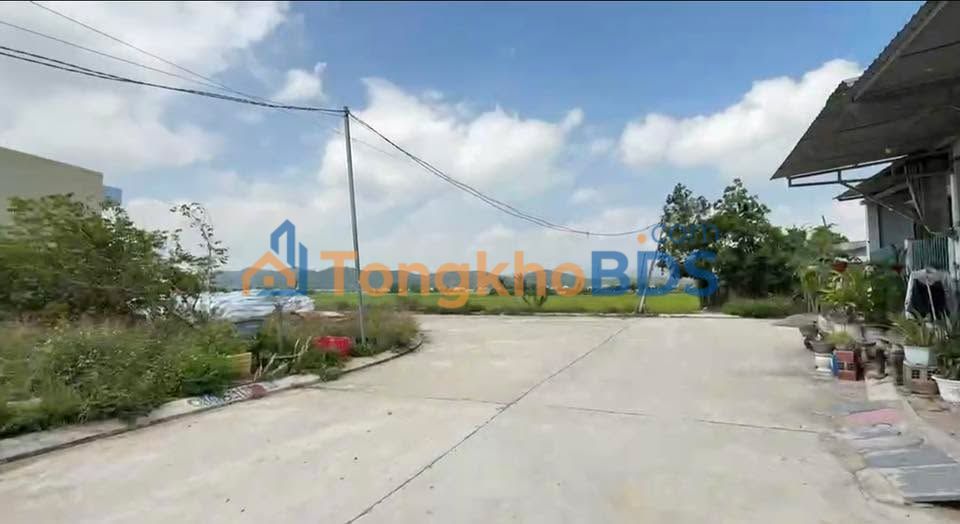 Bán Gấp Đất Vàng 261m² Thị Trấn Diêu Trì - Sổ Hồng Riêng, Giá 2 Tỷ xxx