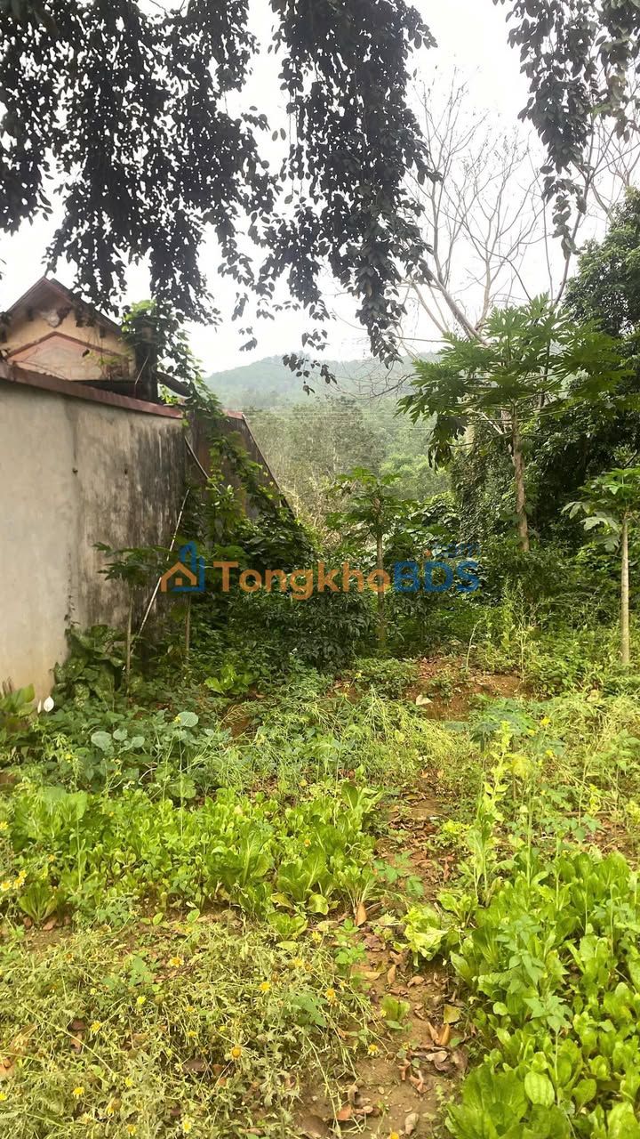 Bán Đất Đường HCM Minh Liên, Triệu Sơn, Thanh Hóa - 275m² Sẵn Sổ