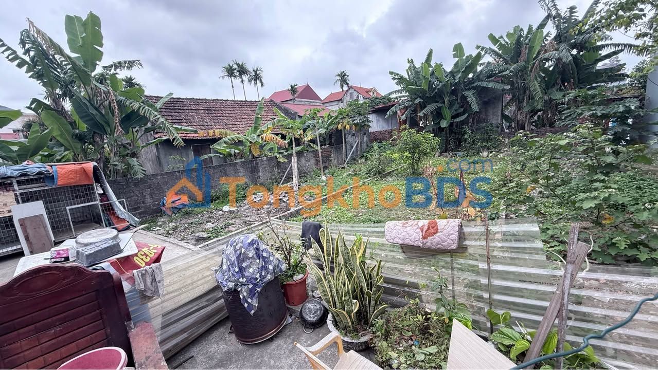 Đất nền 67.4m² Hồng Thái, Hải Phòng - Ngõ ô tô, giá 1.4 tỷ