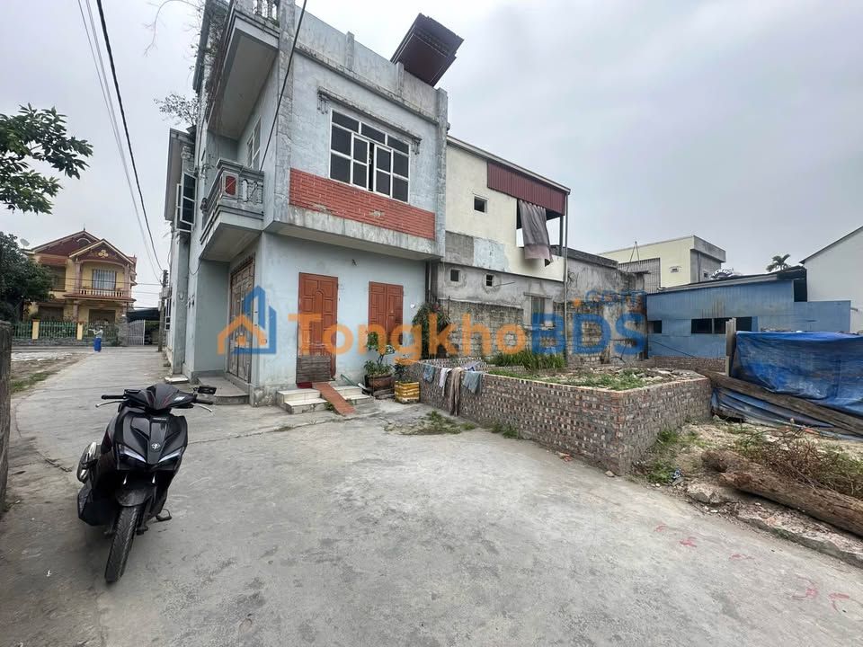 Đất Vàng 313.5m² Phường Đại Bản, Hải Phòng - Ngõ Ô Tô, Giá Tốt