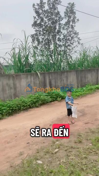 Đất Vàng Thanh Chương 235m² - Cơ Hội Đầu Tư Chia Lô