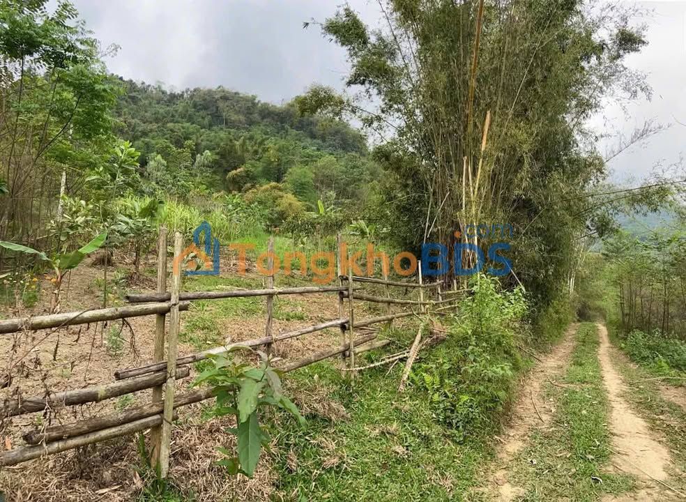 Bán Gấp 18.200m2 Đất Farm Xã Tân Hòa, TP Hòa Bình - Giá Đầu Tư 5x Tỷ