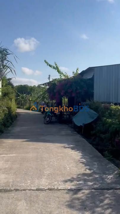 Bán Gấp Đất Nền 120m² Mặt Tiền Bê Tông Xã Lỗ, Đức Phổ - Giá Rẻ 2.45 Tỷ