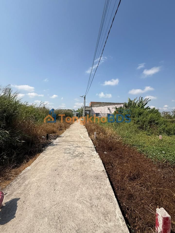 Đất Thổ Cư Cần Giuộc 150m² Sổ Hồng Riêng - Giá 1.1 Tỷ