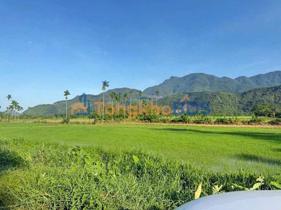 Đất Vườn Lộc Mỹ Hòa Vang 650m² - View Đồng Lúa Đẹp, Sổ Đỏ Chính Chủ