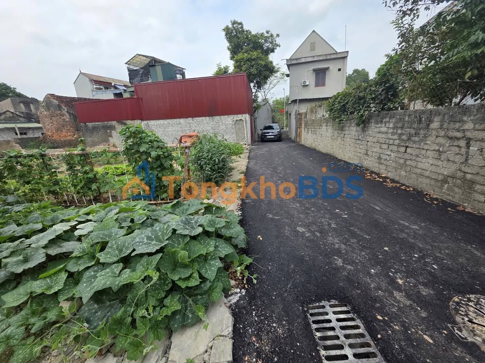 Bán đất nền 115m² ngõ ô tô Bạch Mai, Hà Nội - Sổ đỏ sẵn sàng