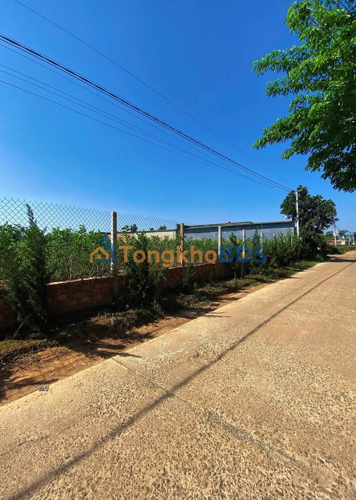 Bán đất nền Lâm Hà 440m² - Sổ hồng riêng, 100m² đất ở, mặt tiền đường ô tô