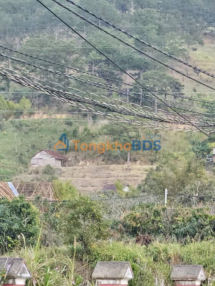 Đất nền nghỉ dưỡng Đà Lạt 1747m² chân đèo Prenn - Cơ hội đầu tư sinh lời