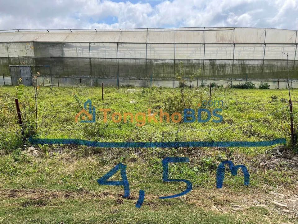 Bán Đất Đà Lạt 78m² - Sổ Hồng Sẵn Sàng - Giá 420 Triệu