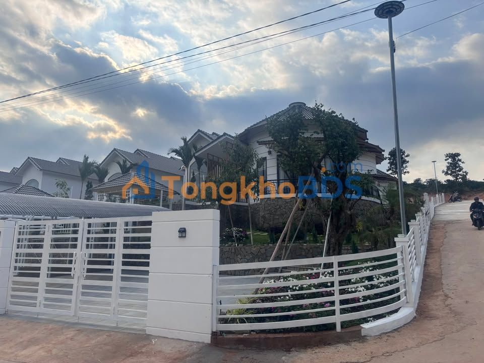 Bán Vườn Cà Phê 1000m² Lâm Hà - View Đồi Đẹp, Dòng Tiền Ổn Định