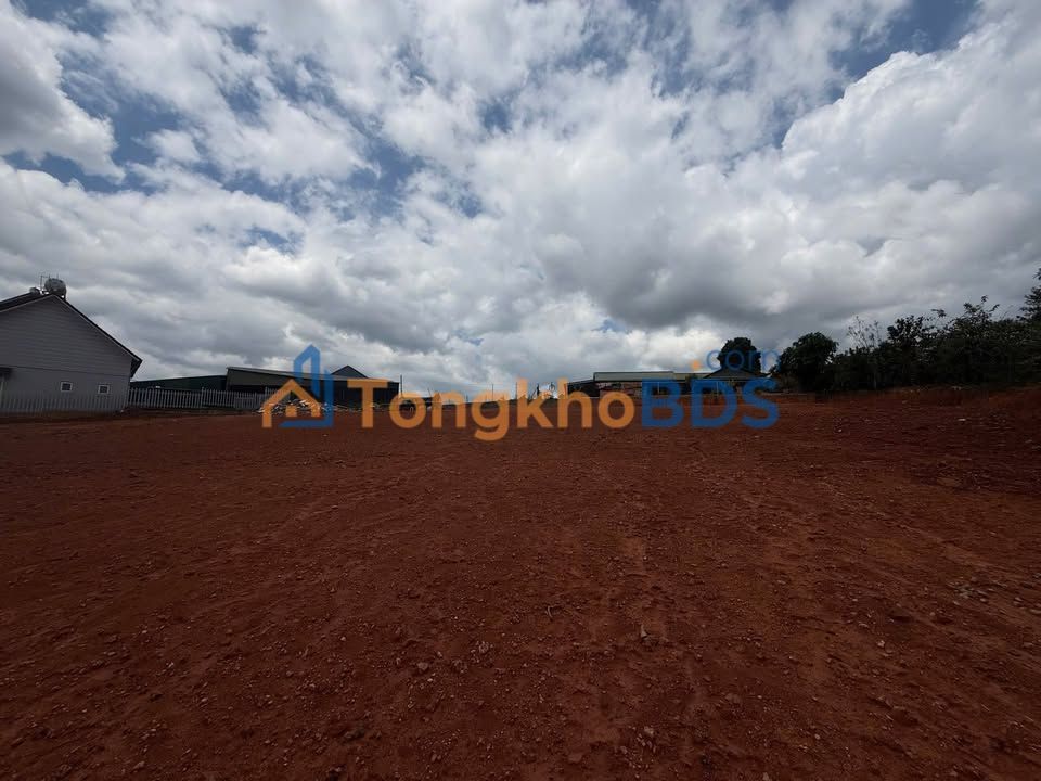 Đất Nền 1890m² Đà Lạt - View LangBiang, Sẵn Xây Dựng, 15 Triệu/m²