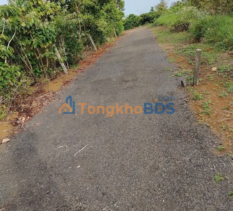 Bán Gấp Đất Vàng 165m² Hẻm Ngô Đức Kế, Bảo Lộc - Sổ Hồng Sẵn Sàng