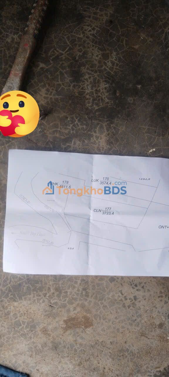 Bán Đất Vườn 12600m² Lâm Hà - Trồng Cà Phê, Sẵn Sổ Hồng