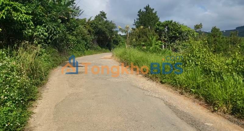 Bán Gấp Đất Lộc Thanh, Bảo Lộc 4000m² Mặt Tiền Rộng 73m - Chỉ 5 Tỷ!