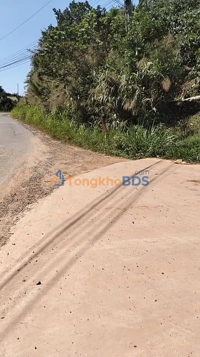 Đất Vườn 5.6ha Mặt Tiền Nhựa, Xã Đinh Trang Hòa, Di Linh - Giá Đầu Tư 3.9 Tỷ