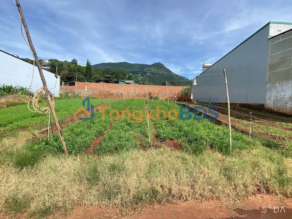 Đất Nền Đức Trọng 170m² Sổ Hồng Chính Chủ - Gần QL20