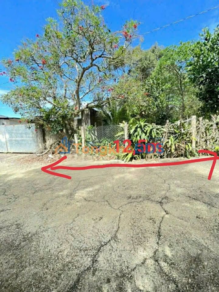 Đất Nền Lộc Sơn, Bảo Lộc - 525m² Sổ Hồng Sẵn Sàng, Giá Đầu Tư 1.5 Tỷ