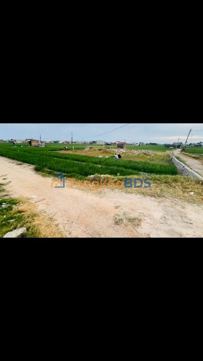 Đất Biển Mỹ Phong 254m² Full Thổ Cư - Giá 1.1 Tỷ, View Đồng Mát