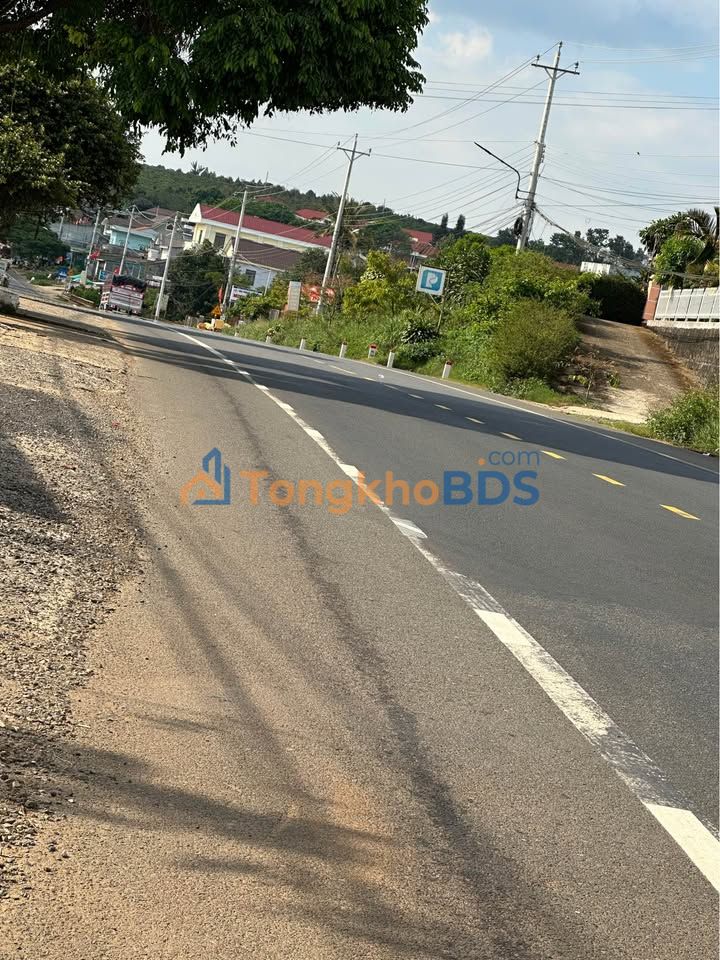 Bán đất thổ cư QL20 Liên Đầm, Di Linh - 15600m² giá 2.x tỷ