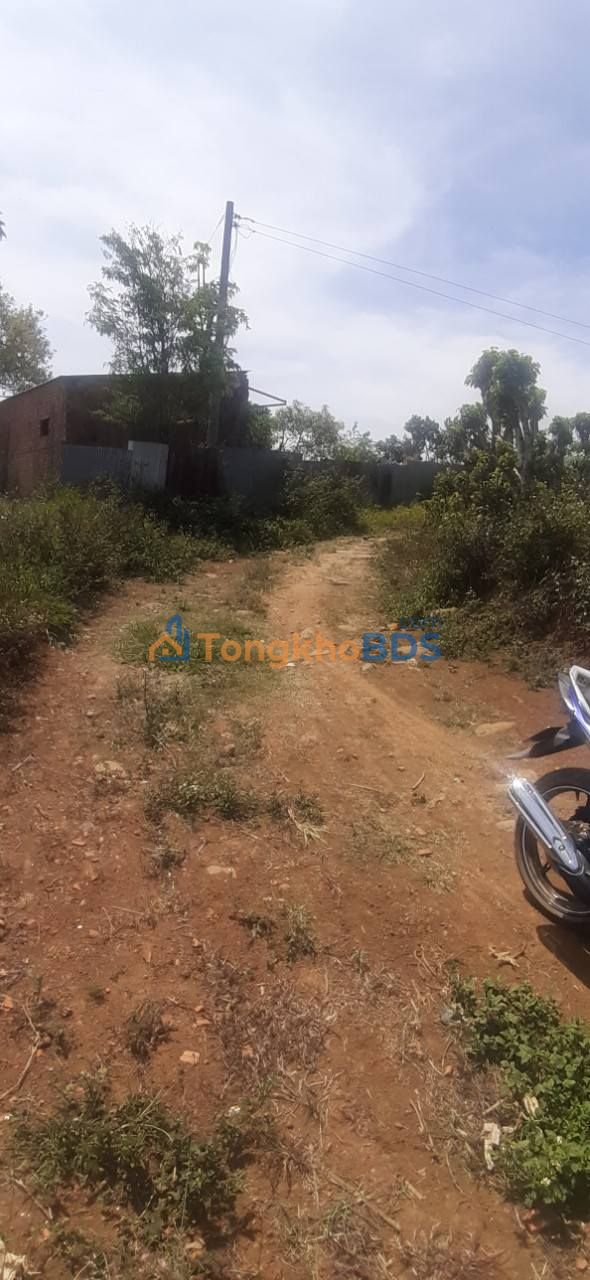 Đất Farm 462m² view thoáng gần QL20, Di Linh - Giá 500 triệu