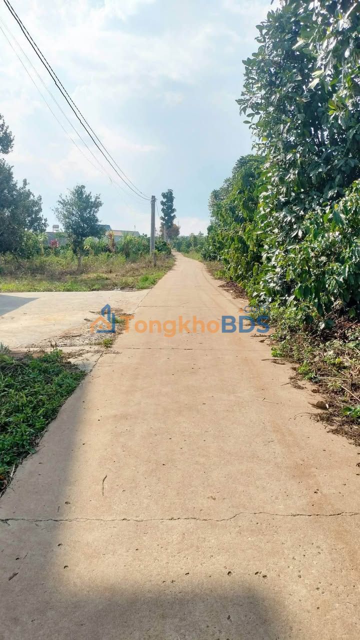 Đất nền Nam Ban Lâm Hà - 582m² giá chỉ 700 triệu - Sổ đỏ sẵn sàng