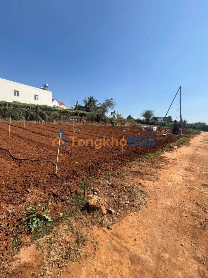 Đất nền 120m² Đức Linh, Bình Thuận - Sổ hồng riêng, giá đầu tư 1.25 tỷ