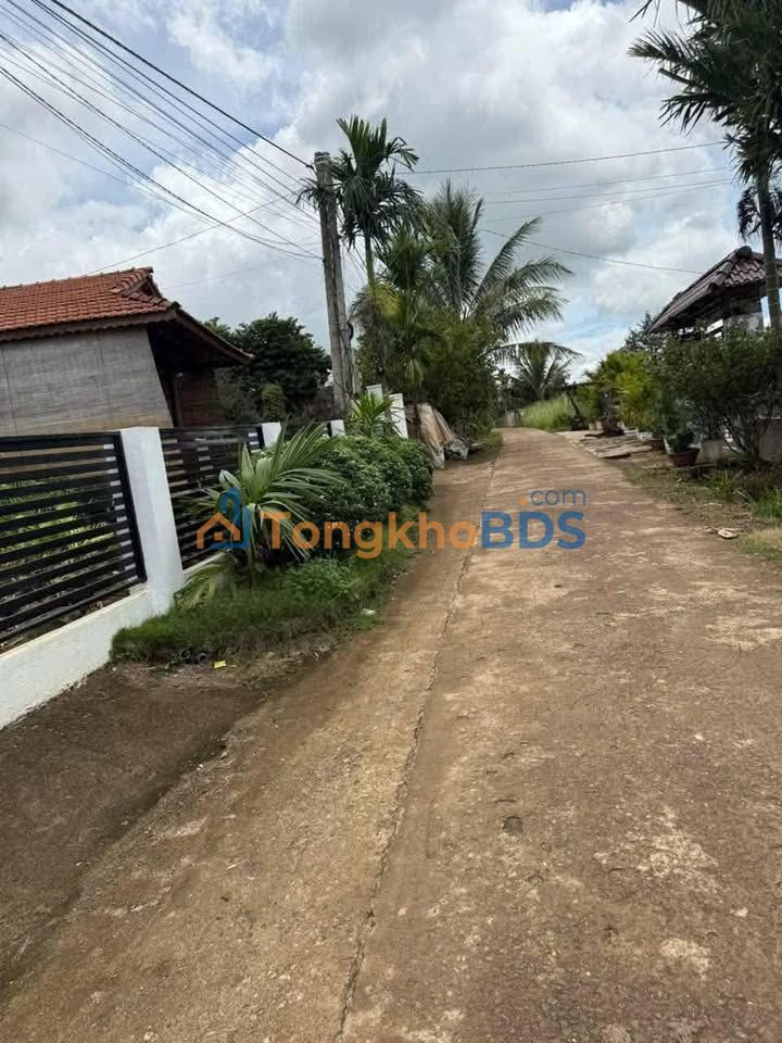 Đất Nền Thôn 7 Hòa An, Đắk Lắk - 305m² Giá Tốt Chỉ 600 Triệu