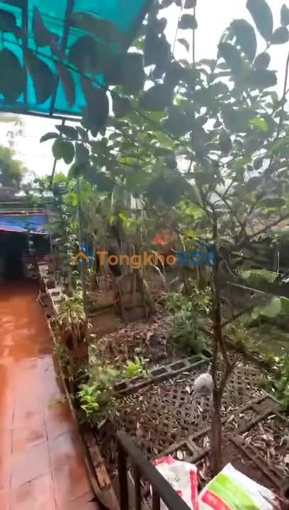 Nhà 198m² thôn 2B Hòa Tiến, Đắk Lắk - Sẵn Sàng Dọn Vào Ở Ngay!