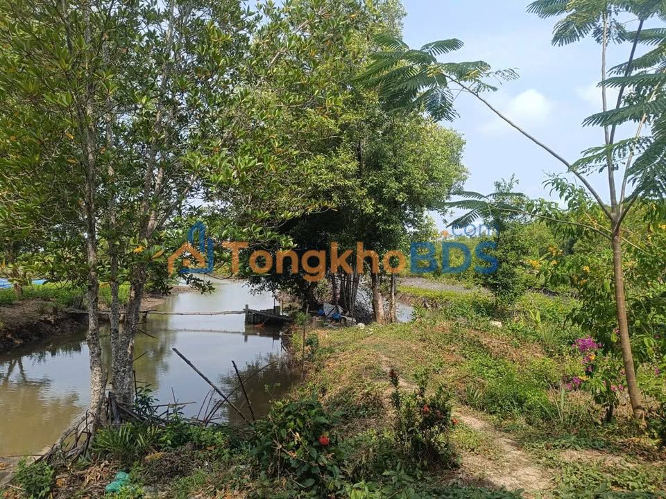 Bán Đất Vườn Rộng 46.000m² Tại Đất Mũi, Cà Mau - Sổ Đỏ Chính Chủ