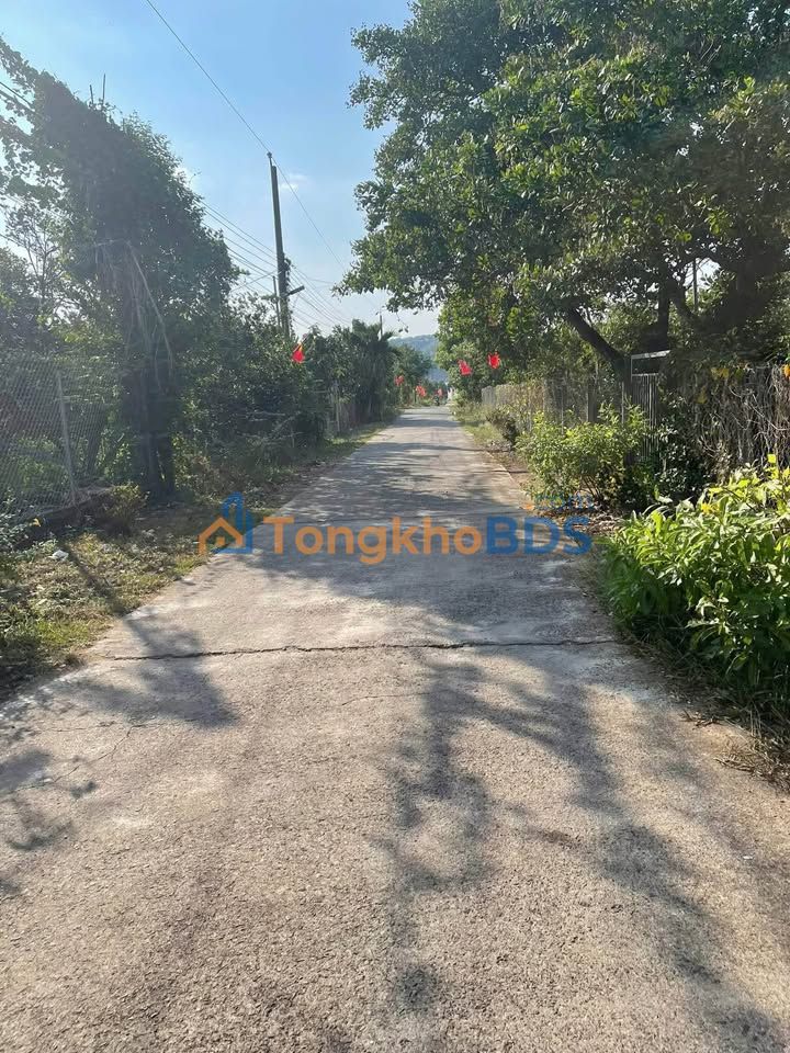 Bán 1000m² Đất Mặt Tiền Bê Tông Xã Phú Thịnh, Định Quán - Giá 680 Triệu