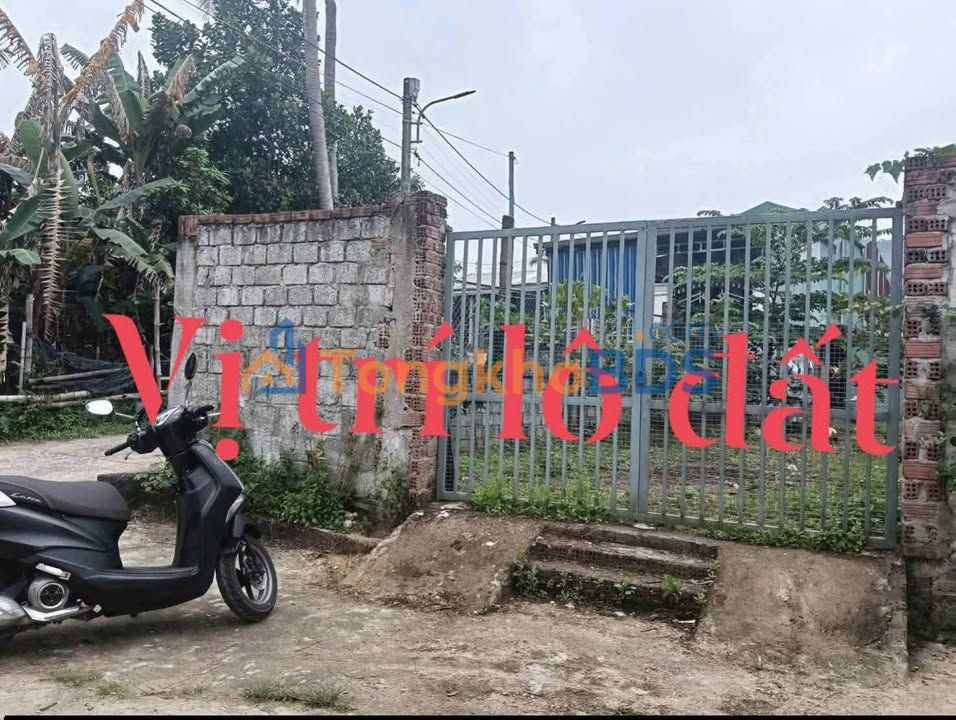 Bán Đất Phường Hòa Khánh, Đà Nẵng - 145.7m² - Sổ Đỏ Sẵn Sàng