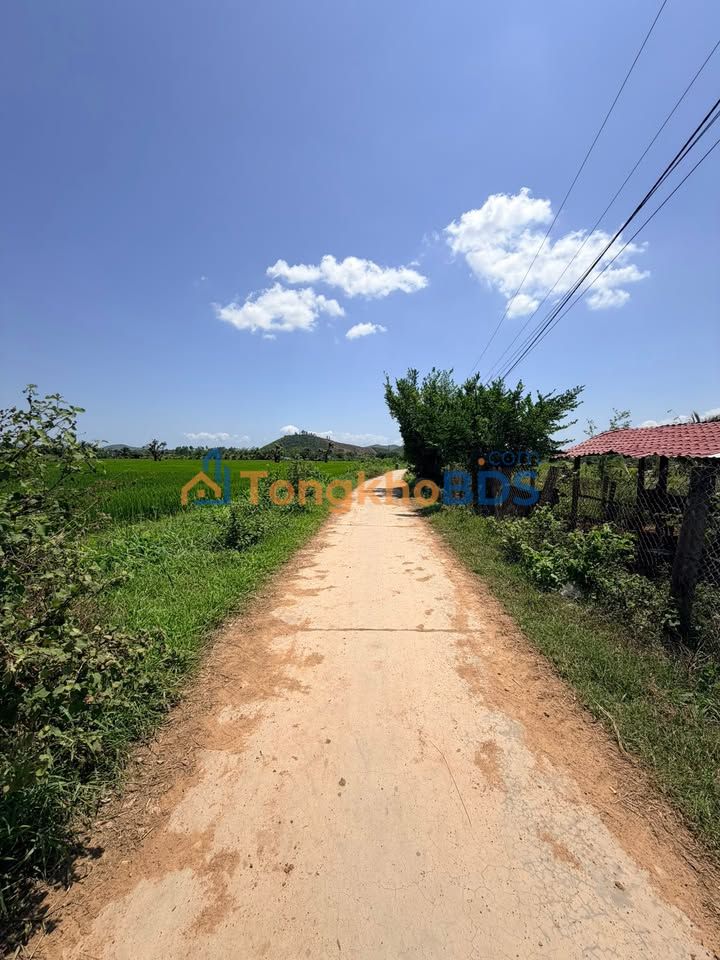 Bán Đất Trang Trại 40000m² Củ Chi - Giá Thỏa Thuận