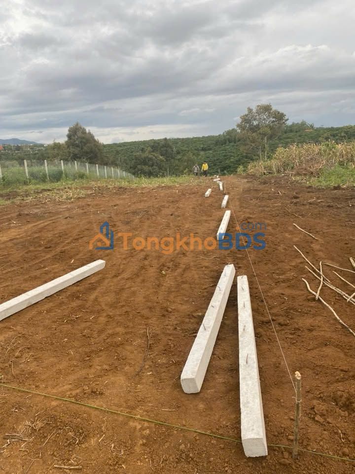 Đất nền 1150m² Lộc Phát, Bảo Lộc - Sổ đỏ, đường ô tô, tiềm năng lớn