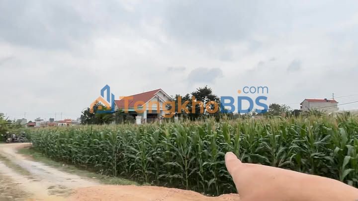 Đất nền 174m² 2 mặt tiền, Trung tâm Nga Sơn - Chỉ 1 Tỷ