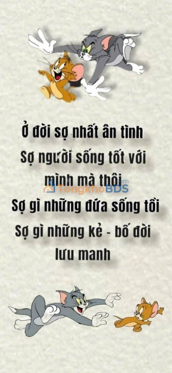 Bán Đất Full Thổ Cư Bình Chánh 420m² - Giá Rẻ Hơn TT 30%!