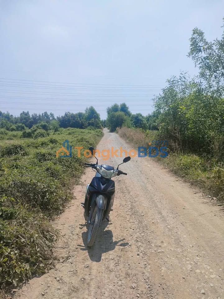 Đất Nền Mặt Tiền Đường Lớn Đức Hòa 1190m² - Sổ Hồng Sẵn Sàng