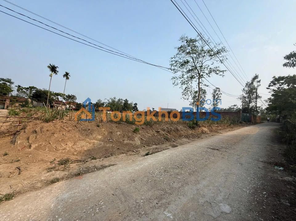 Đất Nền Vĩnh Phúc: 164m² Thổ Cư, Nở Hậu - Giá 3 Tỷ