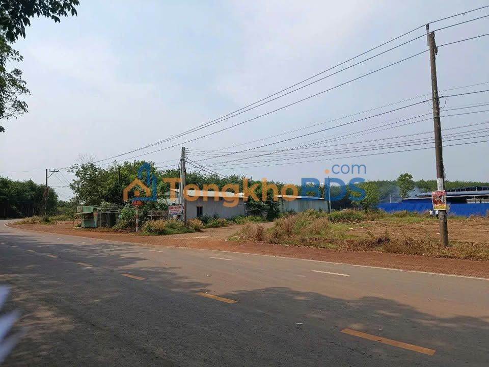 Đất Nền Đồng Phú 200m² - Sổ Đỏ Riêng, Giá 200 Triệu Bao Sổ