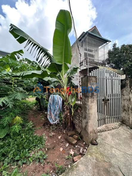 Bán Đất Phường Nghĩa Đô 45.9m² - Ô Tô Đỗ Cổng, Giá 2.4 Tỷ