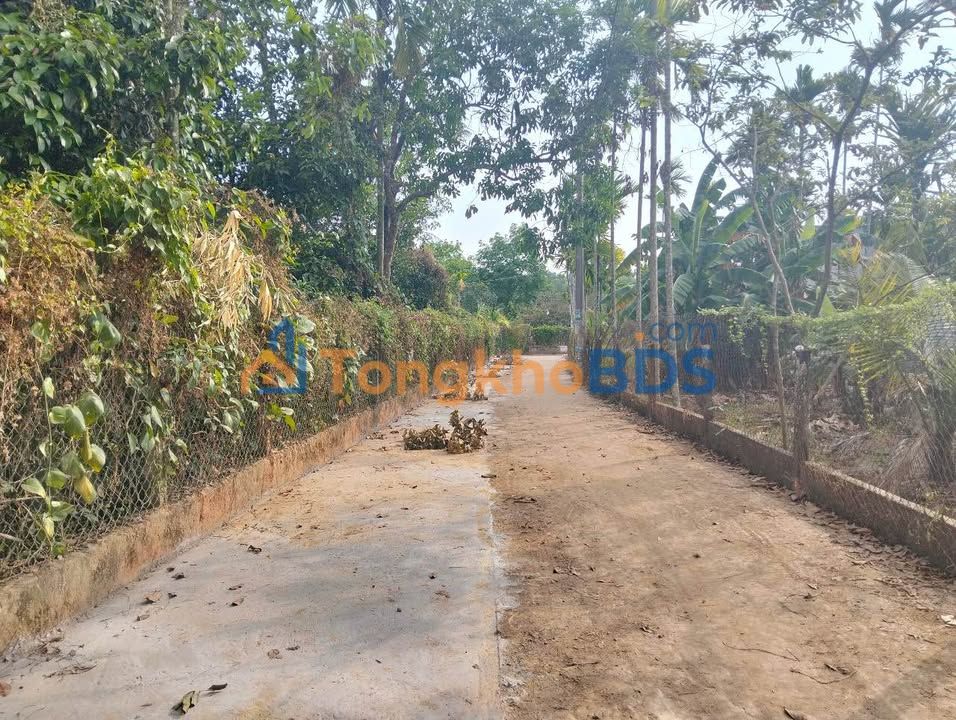 Đất Sổ Hồng Nhơn Trạch - 85m² Giá 5xx Triệu, Đường Xe Hơi