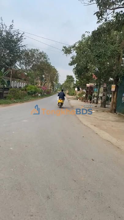 Đất Nghĩa Đàn 206m² Hướng Đông Nam - Gần UBND Xã, Trường Học