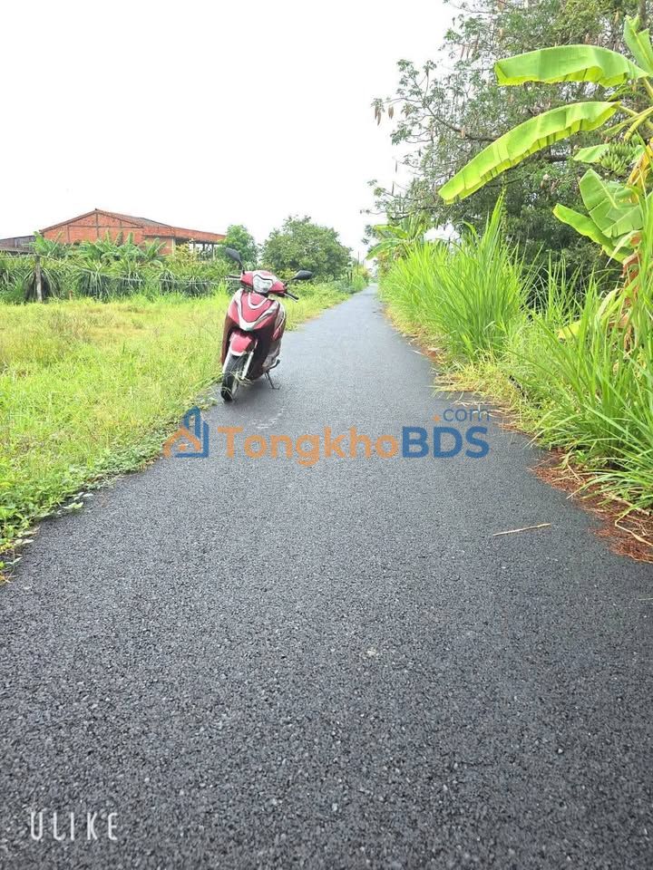 Đất thổ cư Long An 150m² mặt tiền nhựa - Sổ hồng sẵn, giá 350 triệu