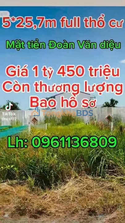 Đất Thổ Cư Cần Giuộc 127m² - Sổ Hồng Riêng, Xây Tự Do