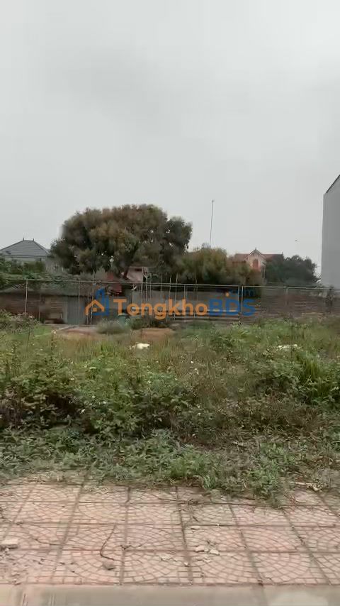 Đất đấu giá Hòa Xá, Ứng Hòa, Hà Nội - 108m² Sổ đỏ sẵn sàng giao dịch