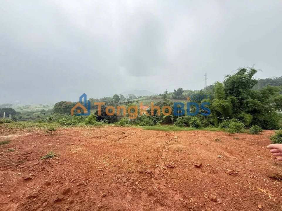 Đất Nền Ba Vì 3600m² Sổ Đỏ Riêng - Giá Đầu Tư Hấp Dẫn