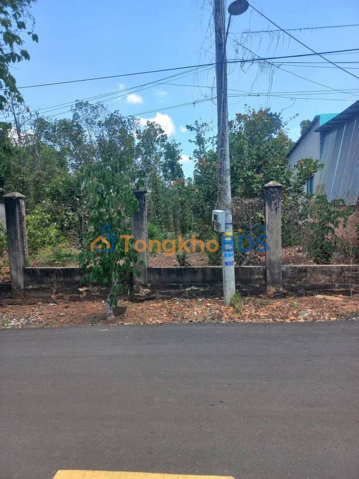 Bán Gấp 2 Lô Đất Thổ Cư 180m² MT Đường Nhựa Xã Hòa Hội, Bà Rịa - Vũng Tàu