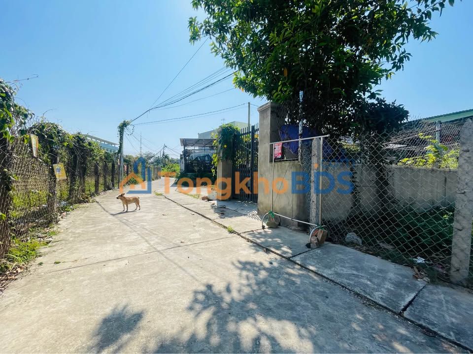 Đất Vạn Thạnh Nha Trang 113m² Full Thổ Cư - Đường Ô tô, Gần Chợ Ga