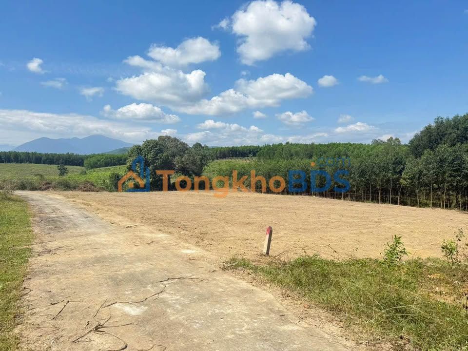 Đất Vườn Diên Đồng 639m² - Giá Đầu Tư 450 Triệu